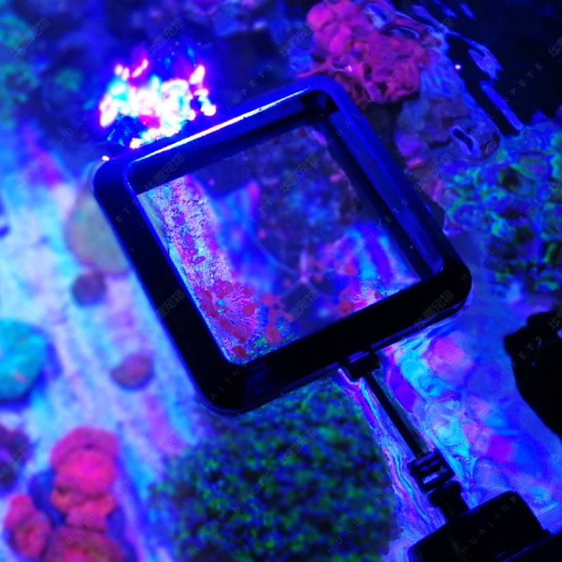 VASTOCEAN Magnetischer Futterr – Seaweed Snack Bewertung und Preis