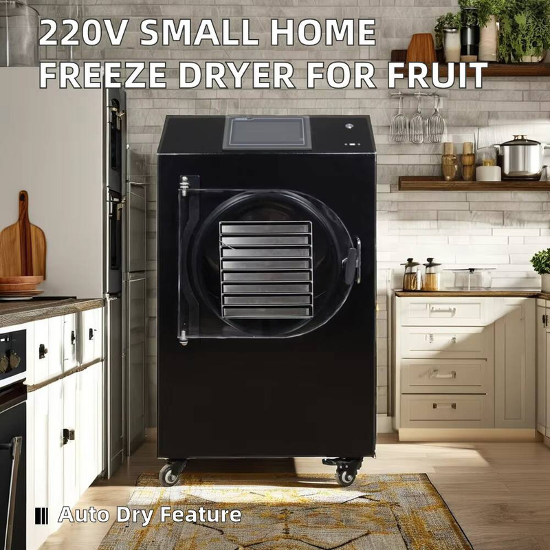Automatische SPS-gesteuerte Tr – Dried Fruit Bewertung und Preis